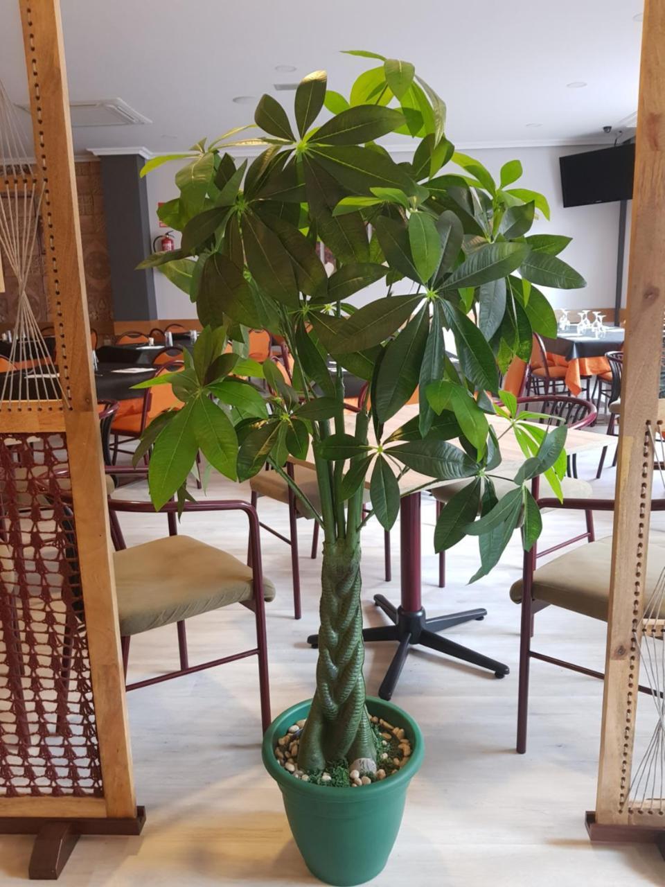 Hostal Restaurante El Abuelo Trobajo Del Camino Екстер'єр фото